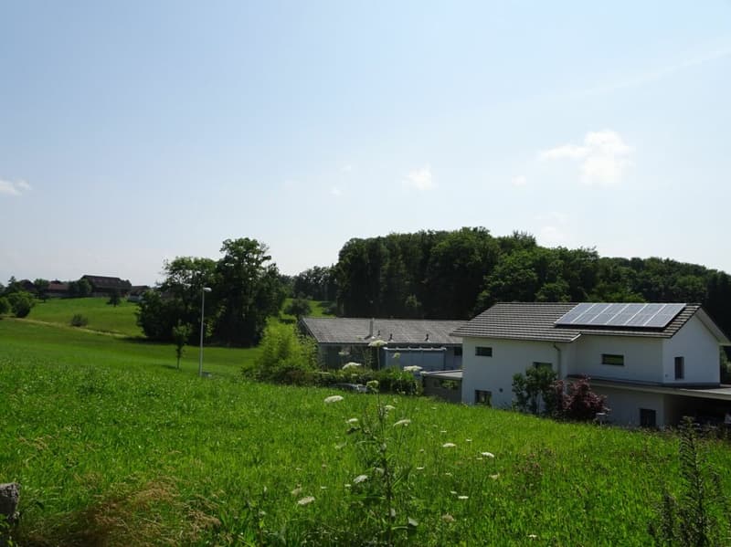 RESERVIERT: Bestens besonntes Bauland an unverbaubarer Lage (4)