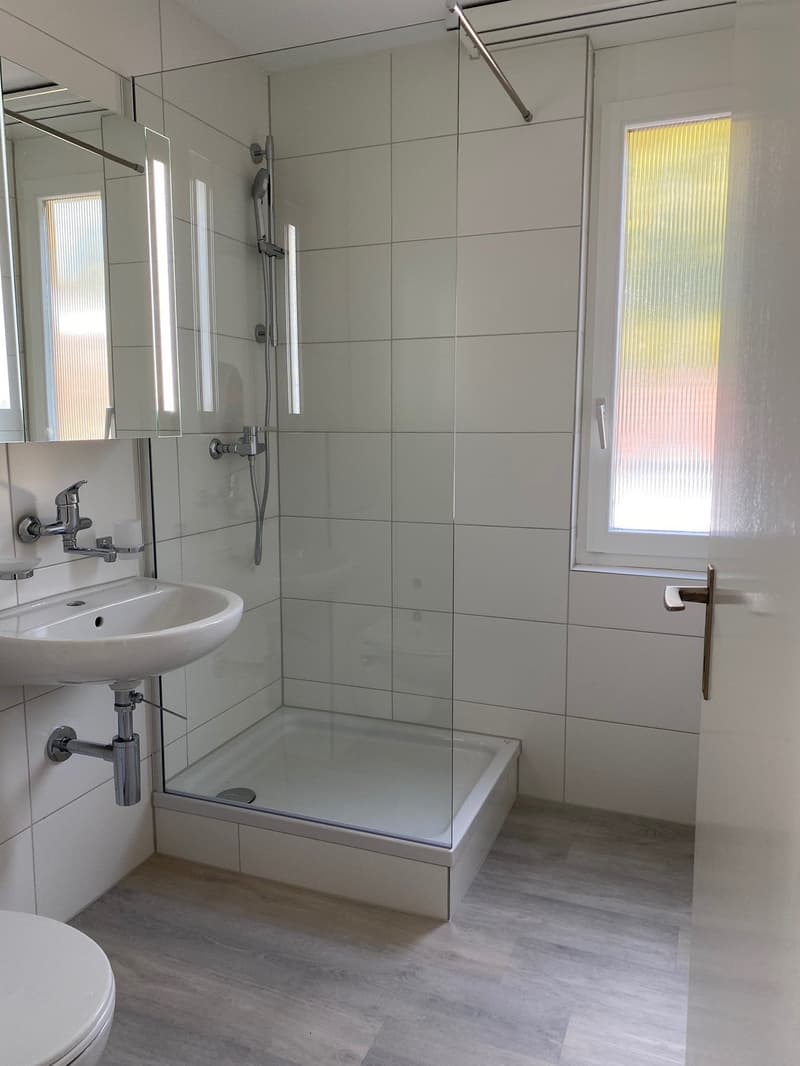 Appartement rénové dans une petite maison multifamiliale (6)