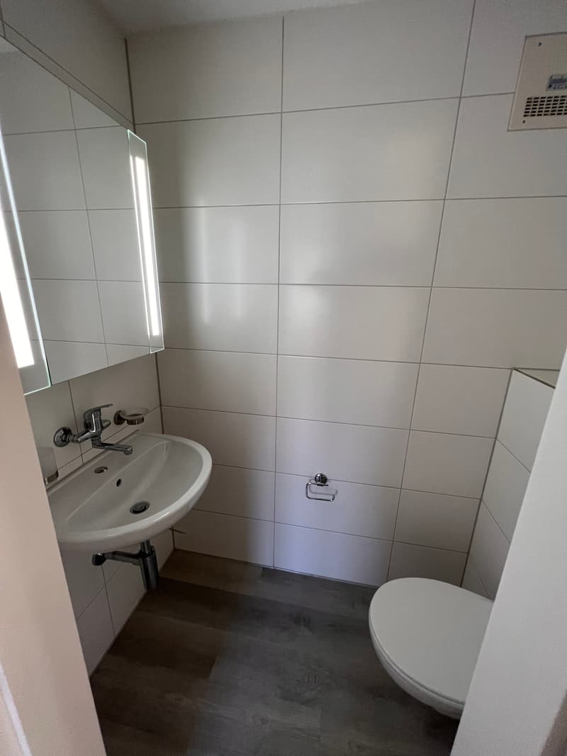 Appartement rénové dans une petite maison multifamiliale (7)