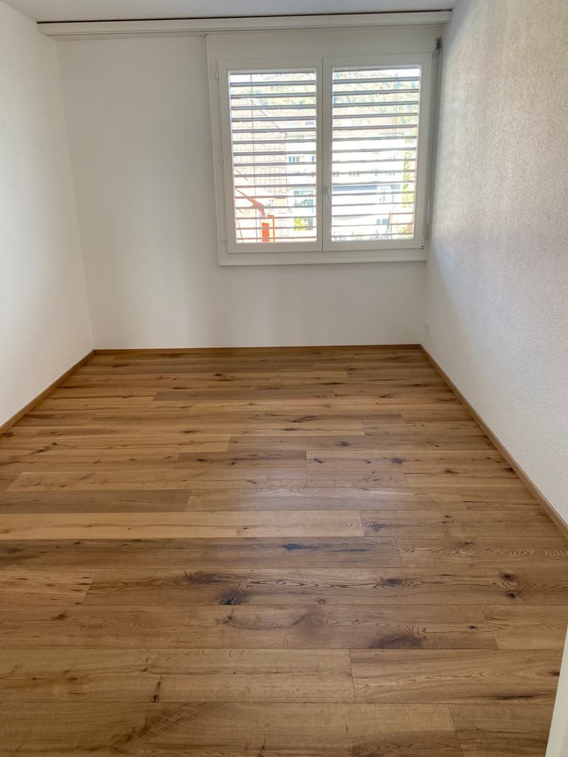 Appartement rénové dans une petite maison multifamiliale (8)