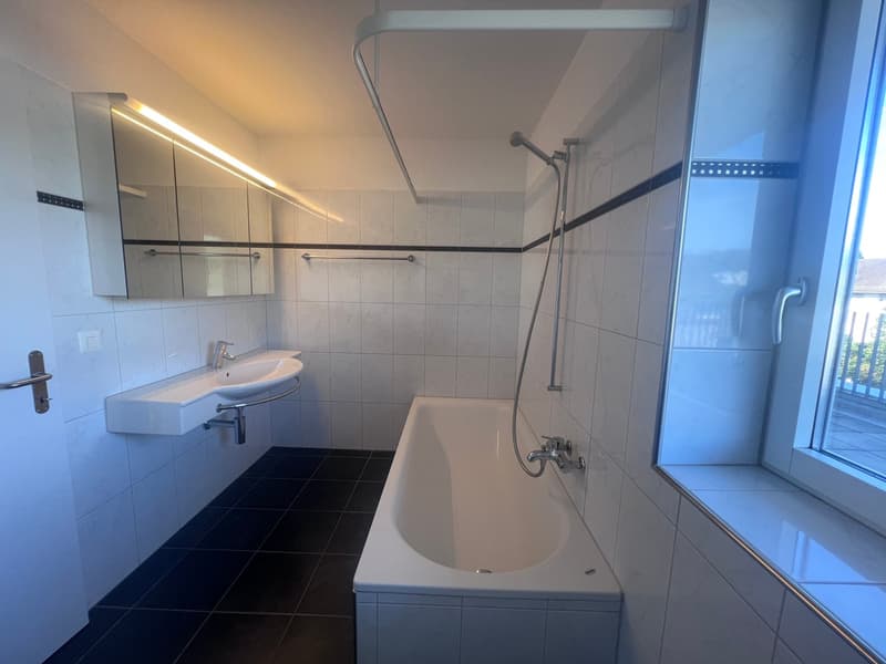 Charmante 2.5-Zimmer-Attikawohnung mit Weitsicht (7)