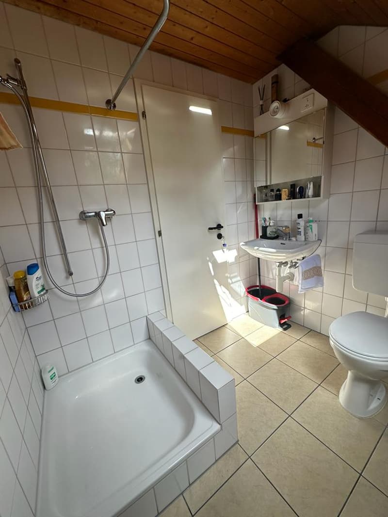 Studio in Wohnbaugenossenschaft / Studio dans une coopérative (4)