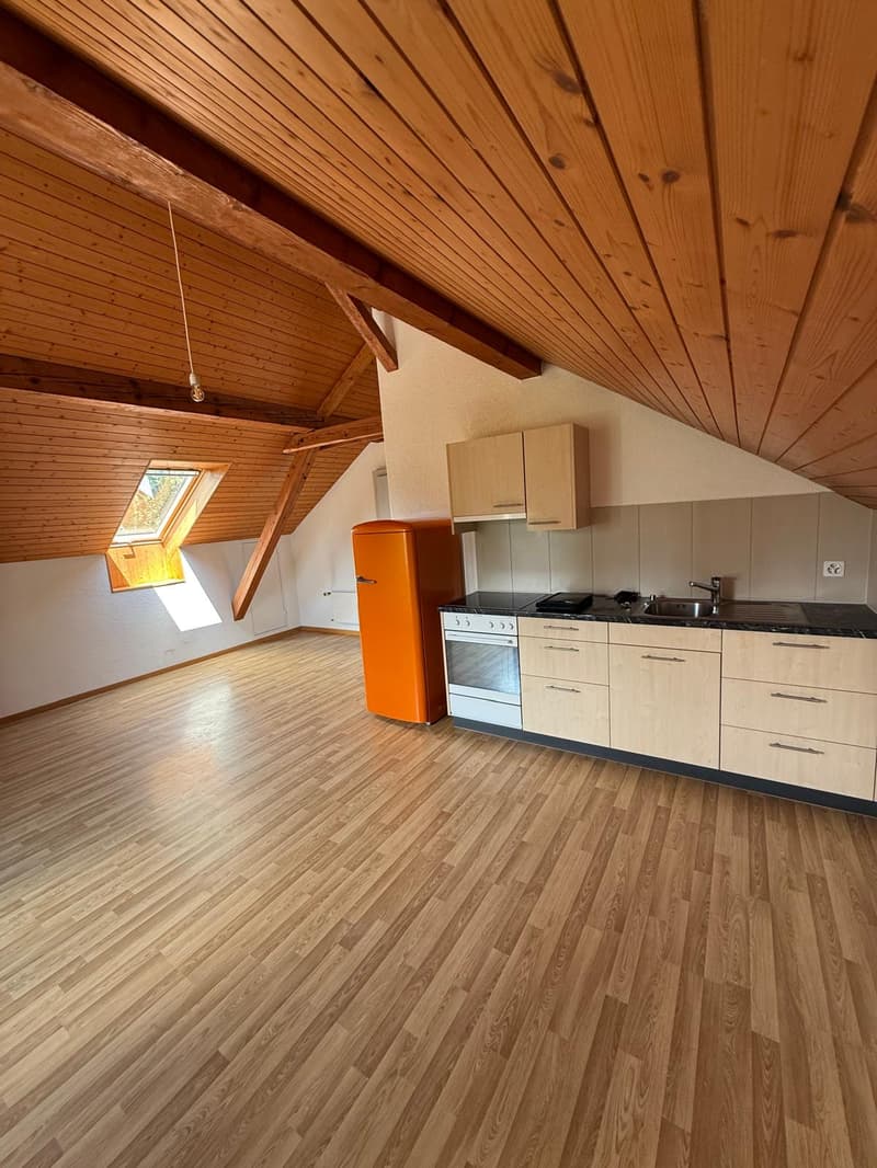 Studio in Wohnbaugenossenschaft / Studio dans une coopérative (3)