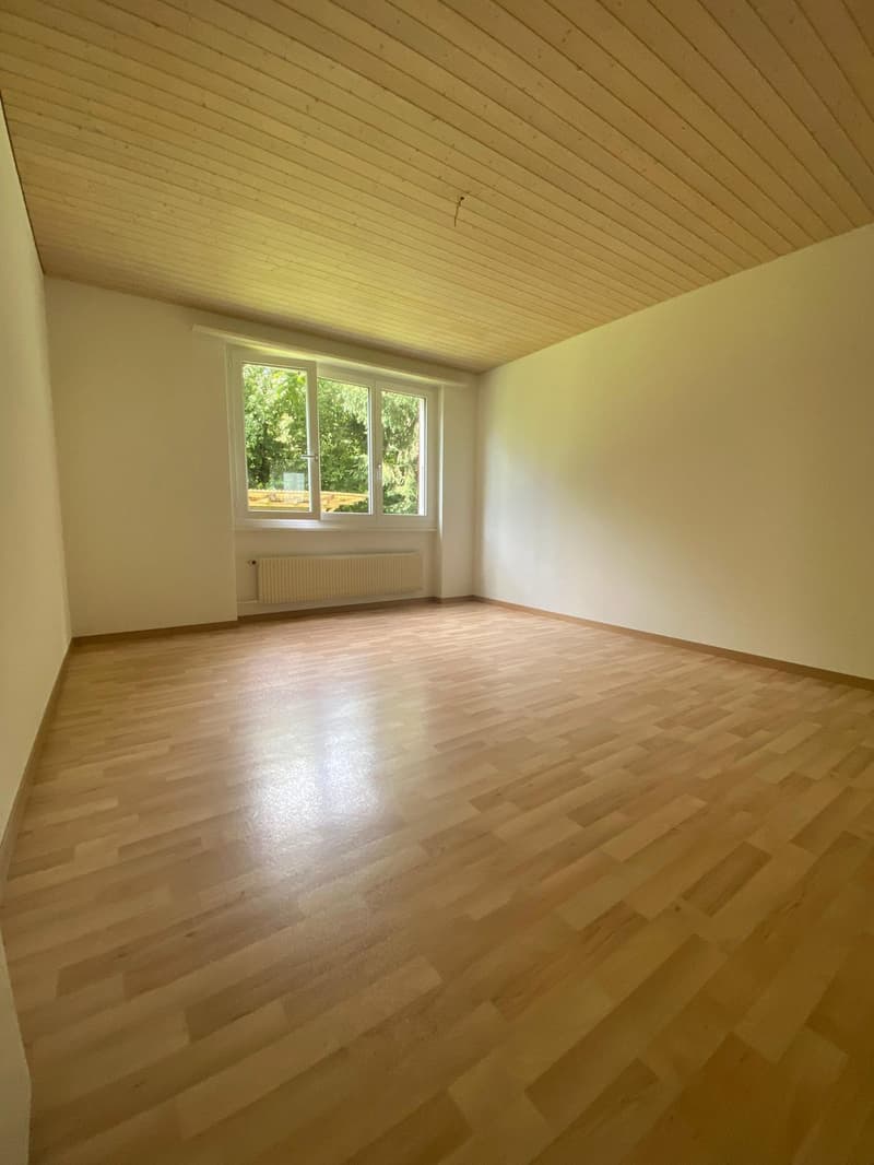 4-Zimmerwohnung im Hochparterre (4)