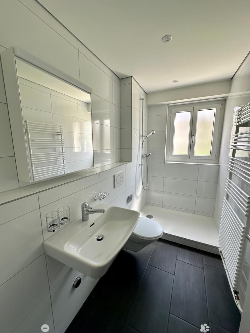 Renovierte 3-Zimmerwohnung mit Mansarde / Appartement rénovée de 3 pièces avec mansarde (5)