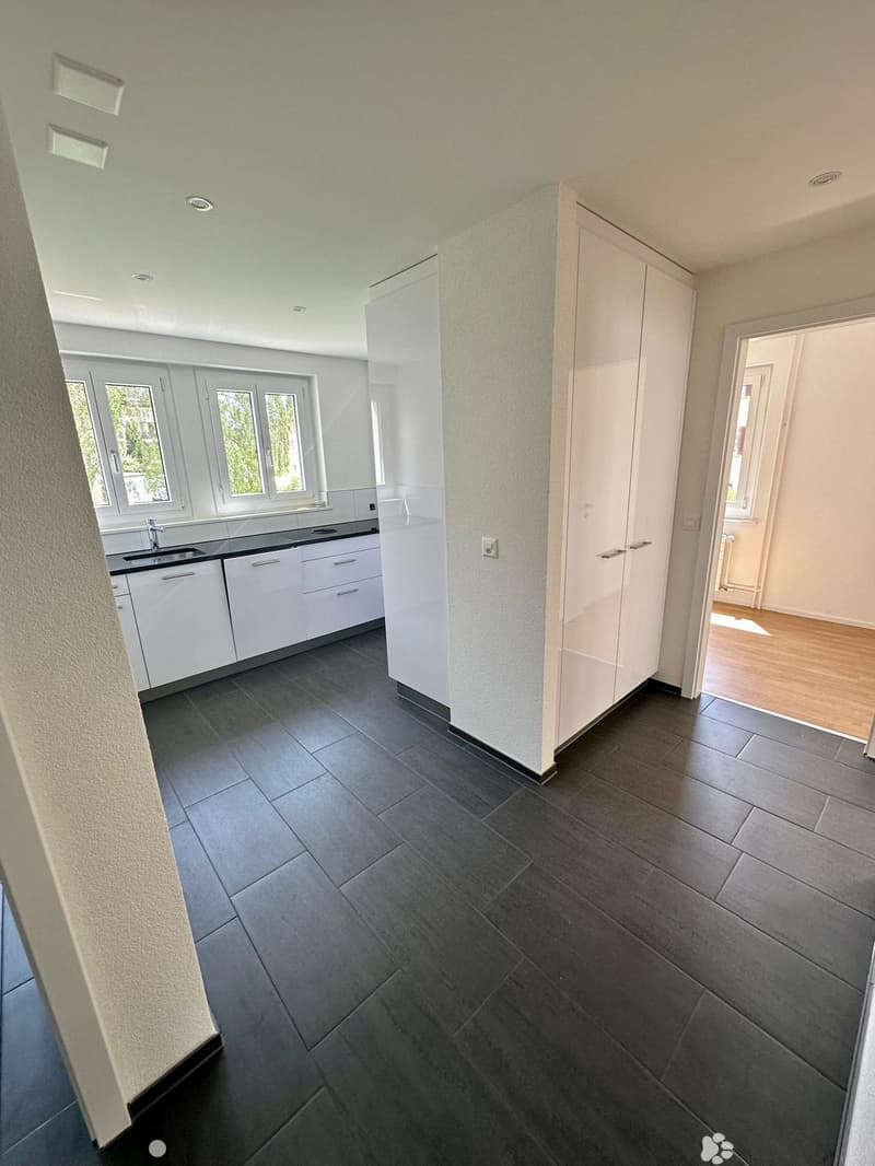 Renovierte 3-Zimmerwohnung mit Mansarde / Appartement rénovée de 3 pièces avec mansarde (3)