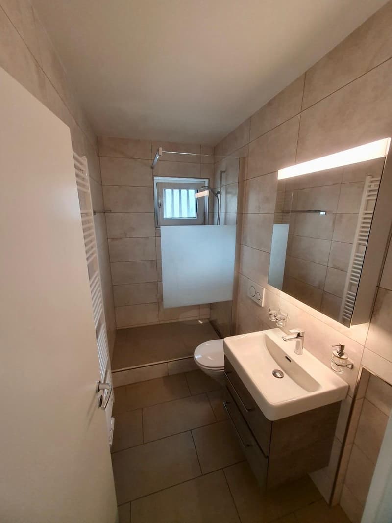 Moderne 3-Zimmerwohnung in Madretsch / Appartement moderne de 3 pièces à Madretsch (3)