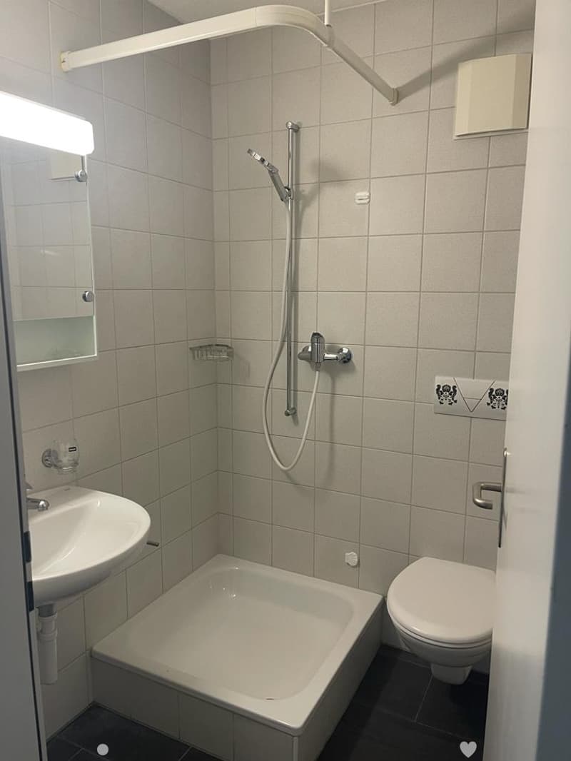 Moderne 3.5-Zimmerwohnung an ruhiger Lage (3)