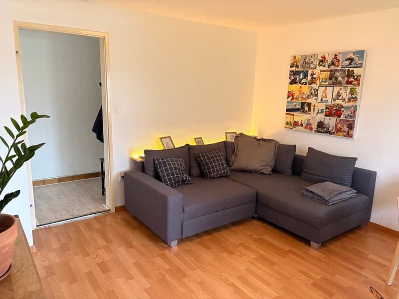 Charmante 3.0-Zimmer-Wohnung im 2. OG (4)