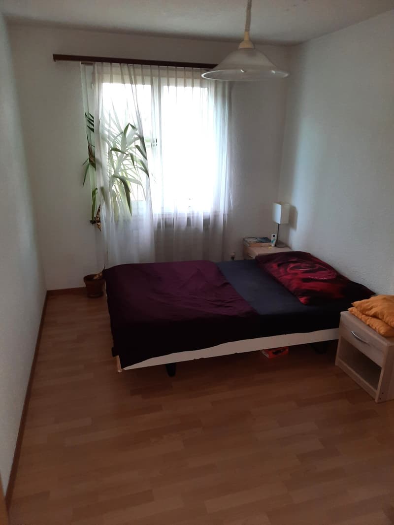 Ruhige 4.5-Zimmer-Wohnung im 2. OG zu vermieten (10)