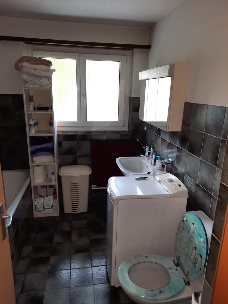 Ruhige 4.5-Zimmer-Wohnung im 2. OG zu vermieten (7)