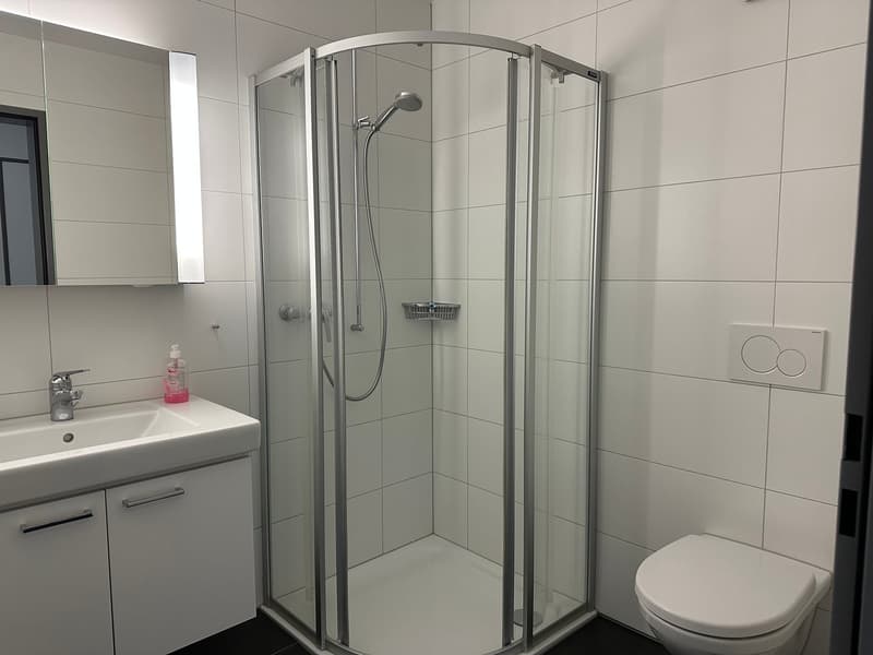 2.5 Zimmerwohnung in Moosleerau (12)