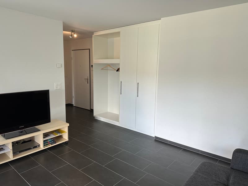 2.5 Zimmerwohnung in Moosleerau (6)