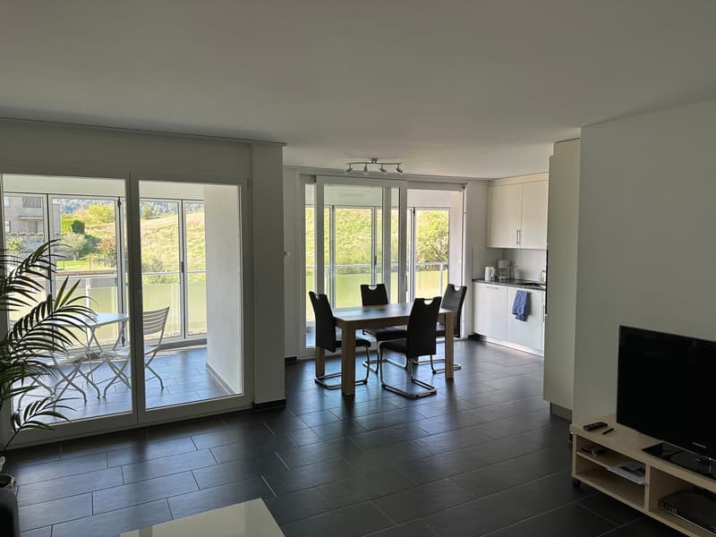 2.5 Zimmerwohnung in Moosleerau (4)