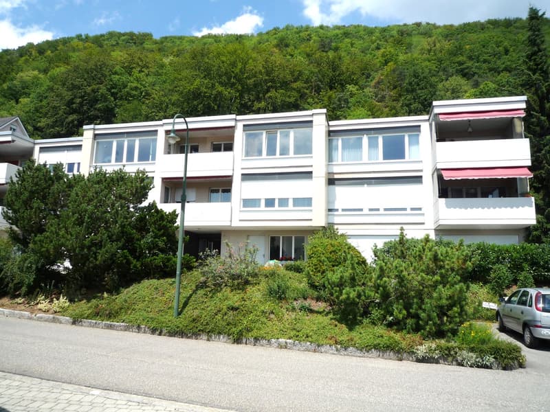 Grosse (170m2) renovierte 3.5 Zimmer-Wohnung mit toller Aussicht bis in die Alpen (1)