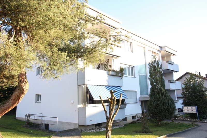 white building, multiple balconies, windows, trees, grass