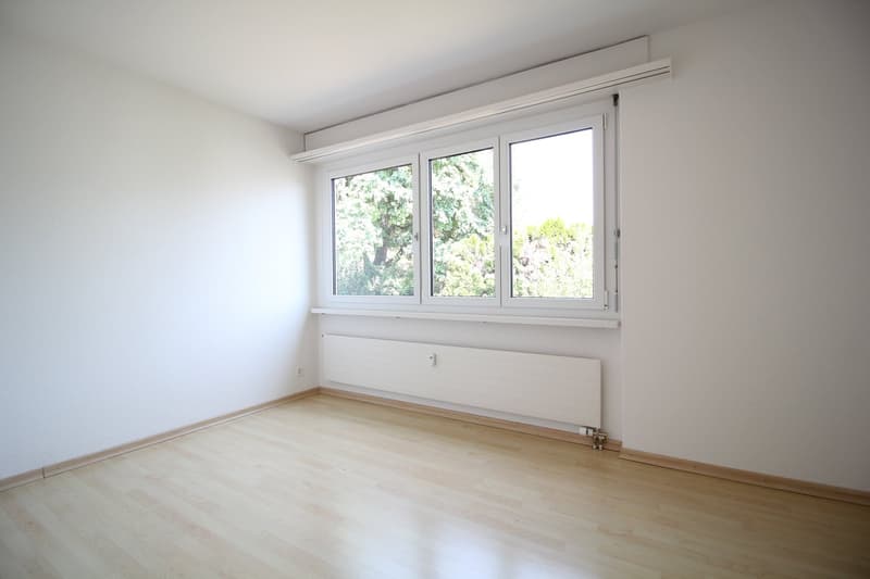 Grosse & helle 5.5 Zimmer-Wohnung mit toller Aussicht bis in die Alpen (10)