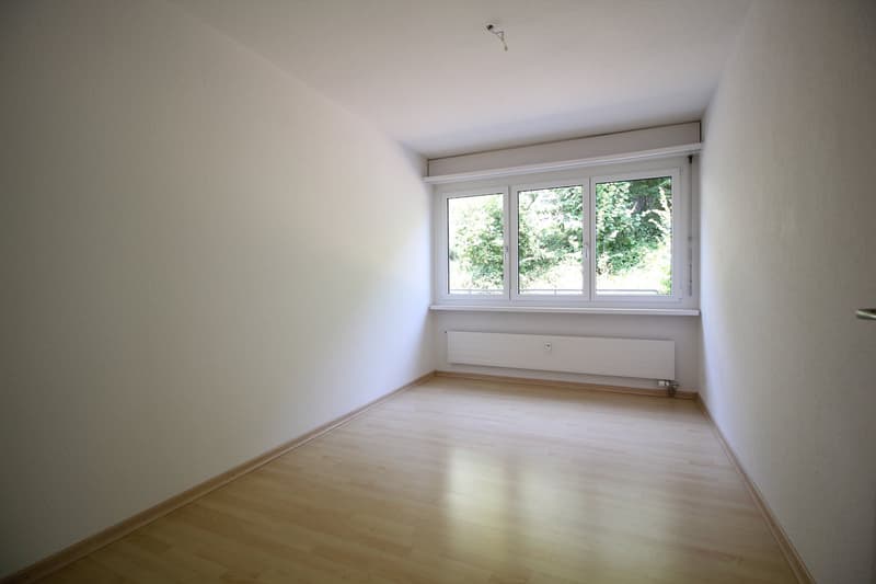 Grosse & helle 5.5 Zimmer-Wohnung mit toller Aussicht bis in die Alpen (11)