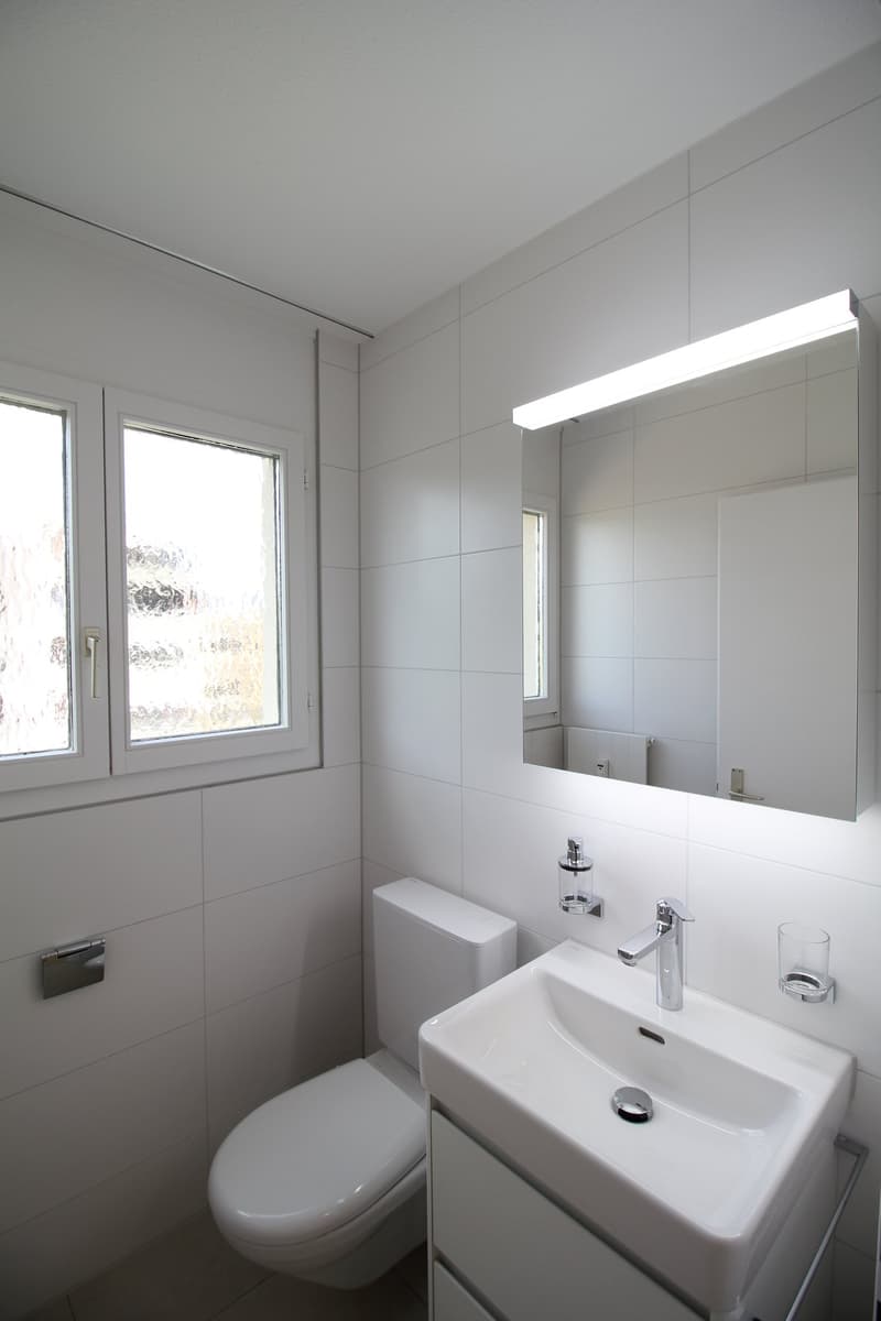 Neu renovierte und ruhige 4.5-Zimmer-Wohnung, nähe Aarau (13)