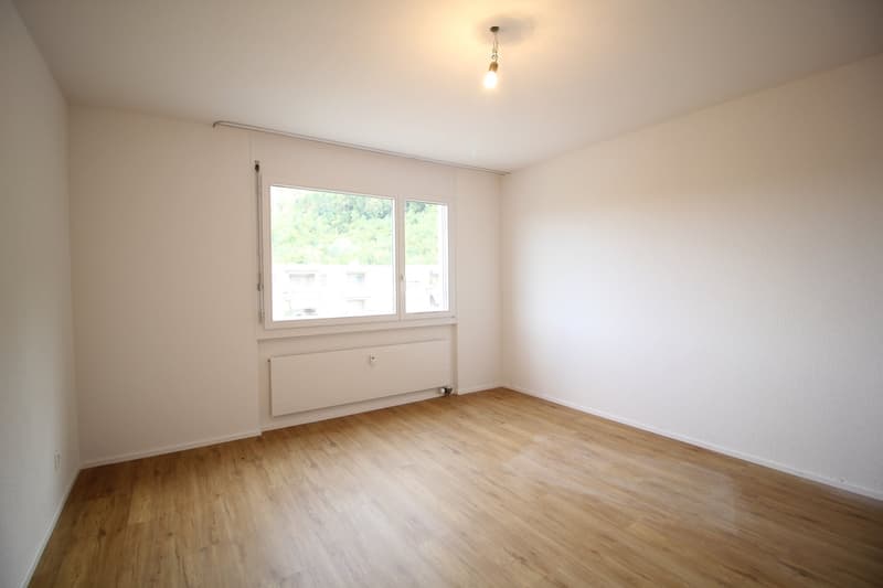 Neu renovierte und ruhige 4.5-Zimmer-Wohnung, nähe Aarau (6)