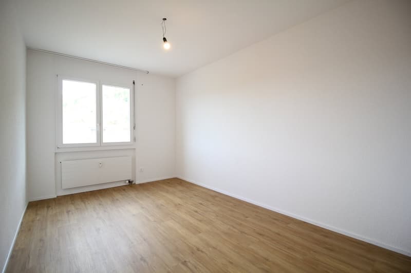 Neu renovierte und ruhige 4.5-Zimmer-Wohnung, nähe Aarau (10)