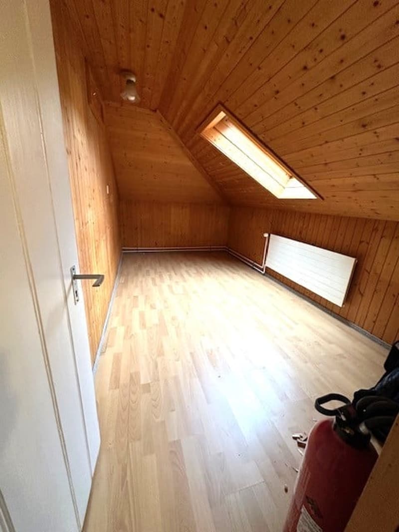 wooden walls, wooden floor, white door, skylight, fire extinguisher