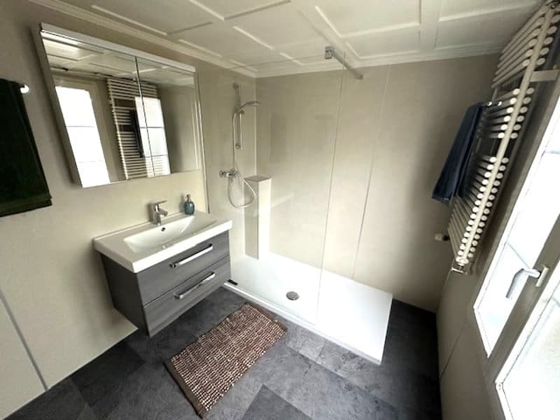 Bathroom with a sink, mirror, shower, and a window
