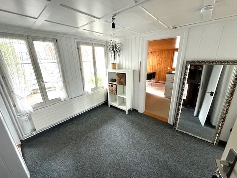 empty room, white walls, white ceiling, white floor, large windows, white shelf, large mirror, potted plant