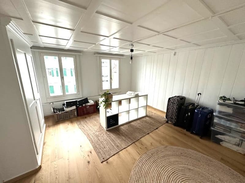 empty room, wooden floor, white walls, white ceiling, rug, storage boxes, luggage, shelves, plant