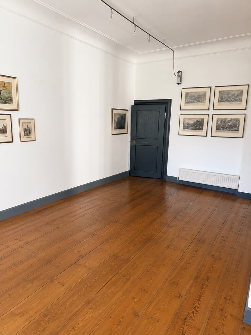 Charmante 4-Zimmer-Maisonette-Wohnung im Altbau – St. Gallen (5)