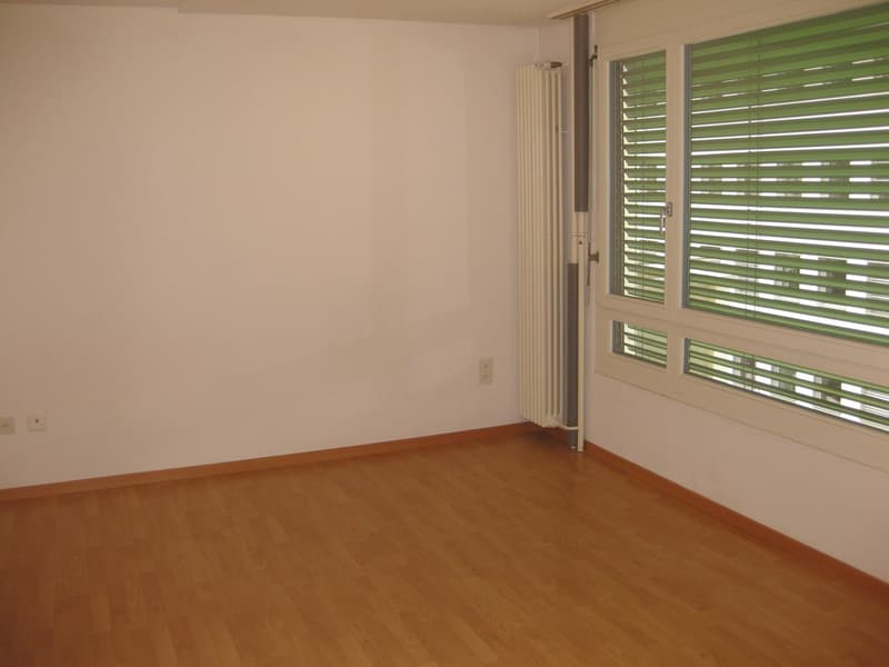 Charmantes 1-Zimmer-Apartment im 4. OG in St. Gallen (3)
