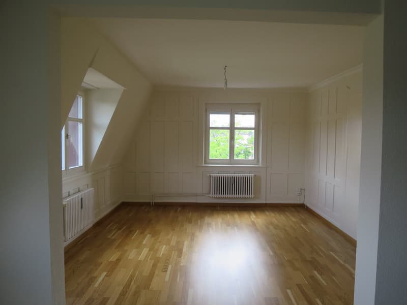 Charmante 3-Zimmer-Altbauwohnung an ruhiger Lage in St. Gallen (5)