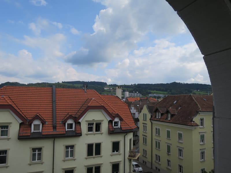 Charmante 3-Zimmer-Altbauwohnung an ruhiger Lage in St. Gallen (4)
