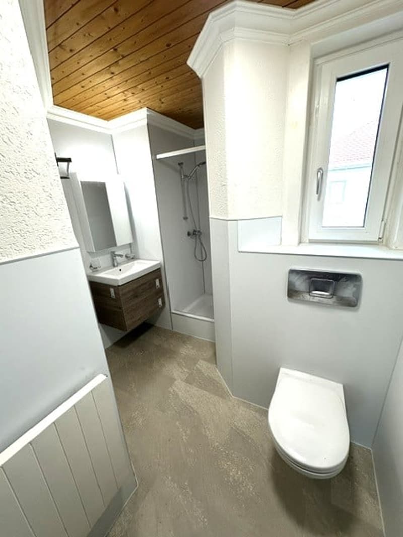 Charmante 3-Zimmer-Altbauwohnung mit schöner Aussicht in St. Gallen (9)