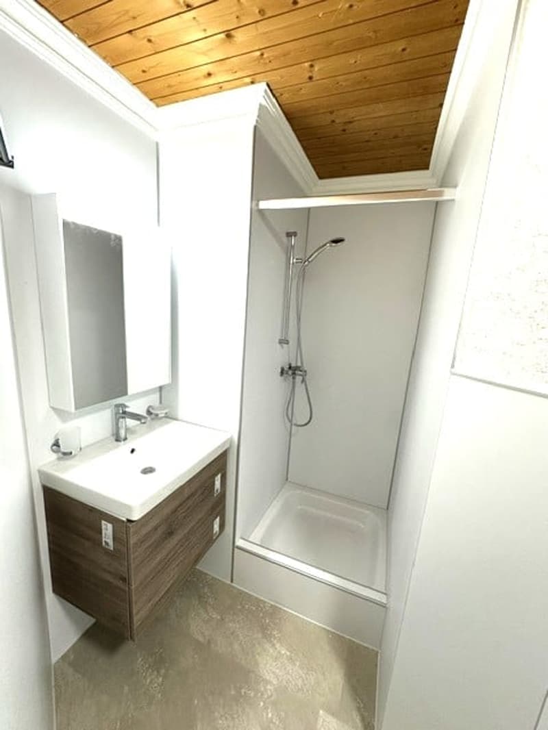 Charmante 3-Zimmer-Altbauwohnung mit schöner Aussicht in St. Gallen (8)
