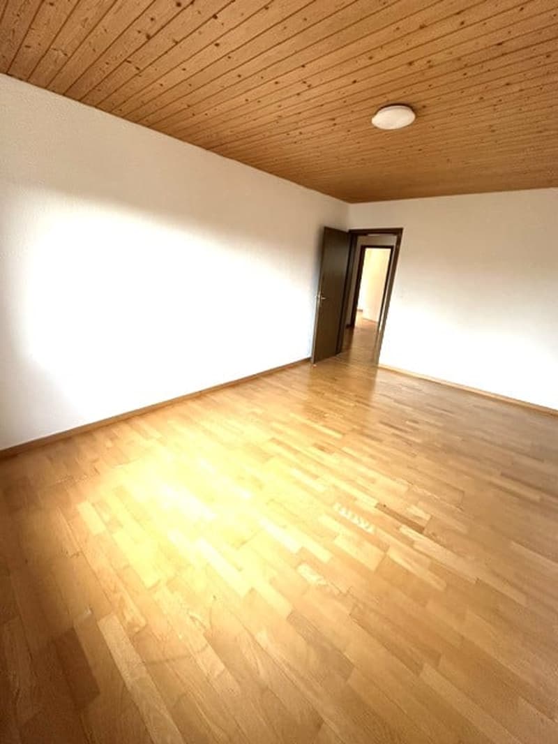 Charmante 3-Zimmer-Altbauwohnung mit schöner Aussicht in St. Gallen (7)