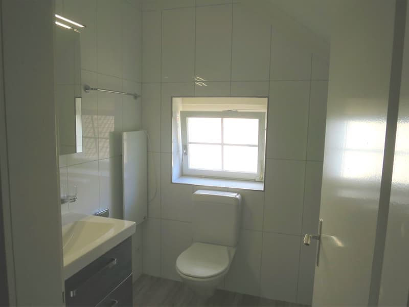 Charmante 2-Zimmer-Dachwohnung in der Altstadt von St. Gallen (6)