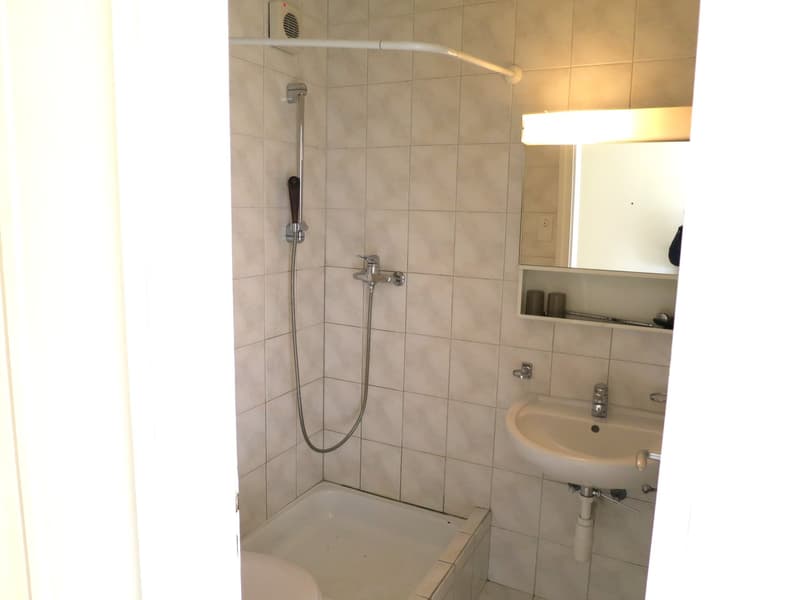 Charmantes 1-Zimmer-Apartment im 6. OG mit schöner Aussicht – St. Gallen (3)