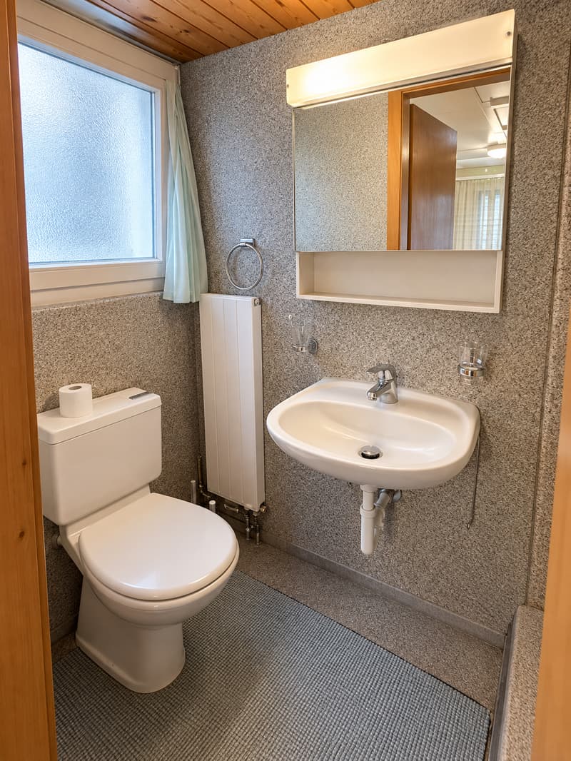 Gemütliche 3-Zimmer-Wohnung im Altbau in Herisau (10)