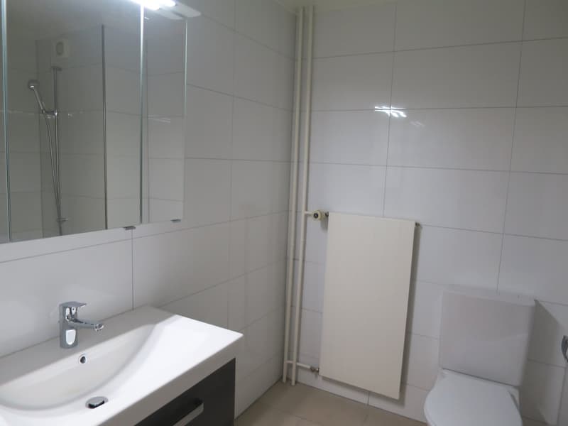 Charmante 4-Zimmer-Altbauwohnung an ruhiger Lage in St. Gallen (7)