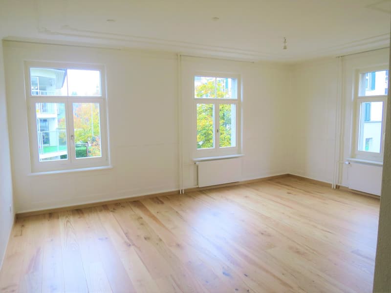 Charmante 4-Zimmer-Altbauwohnung an ruhiger Lage in St. Gallen (3)