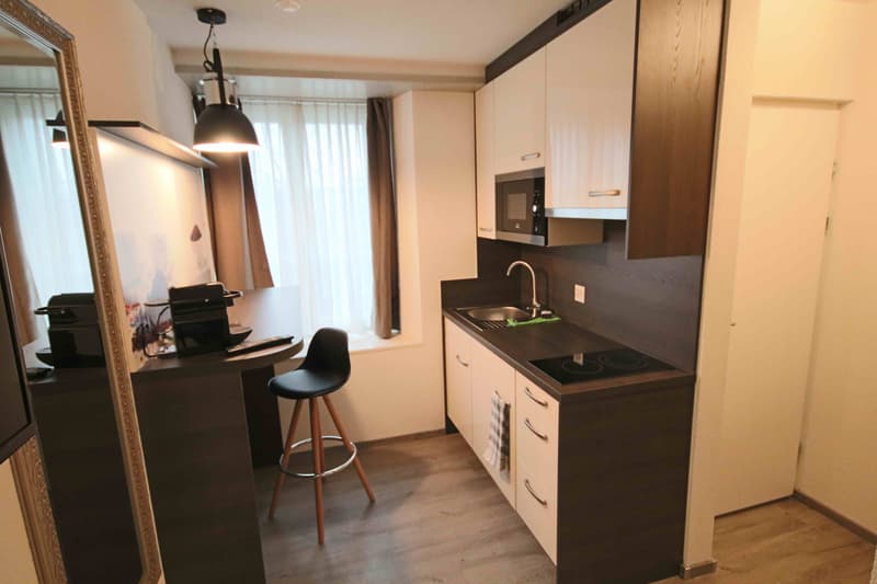 Möbliertes 2-Zimmer-Business Appartement mit Reinigung per 2. Juni (2)