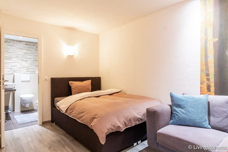Möbliertes 2-Zimmer-Business Appartement mit Reinigung per 2. Juni (1)