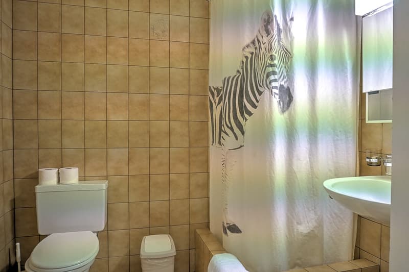 Tiled walls, toilet, sink, shower curtain with zebra print design