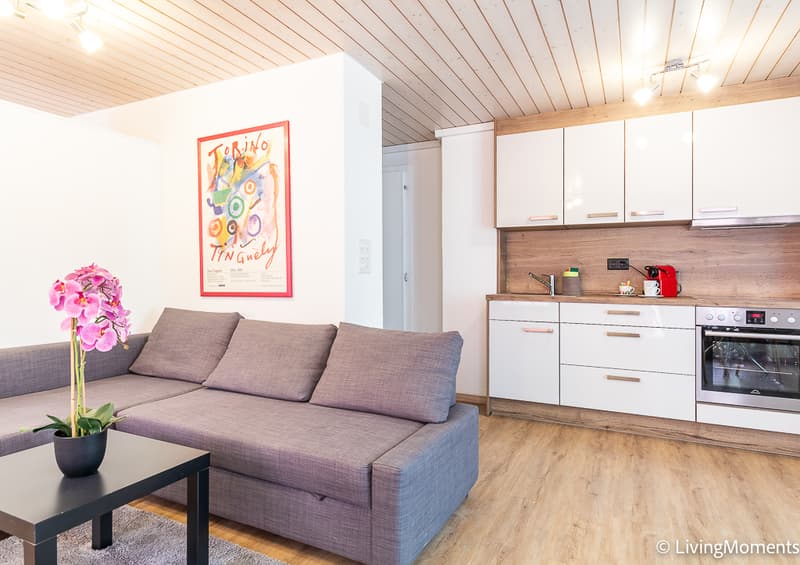 FL_APP1_sofa2.jpg