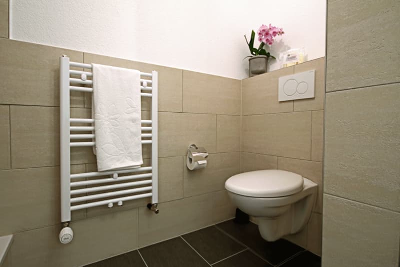 SA_N4_Toilet6.png