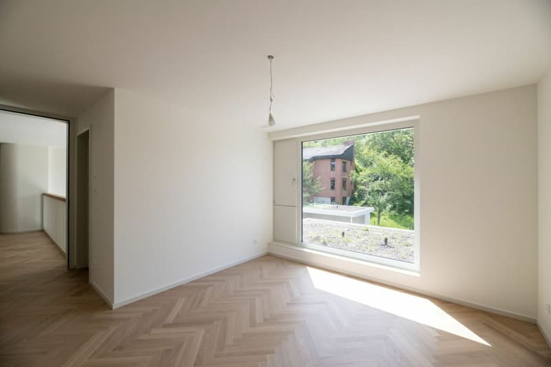 Exklusiver Neubau bezugsbereit - Exclusive new-build ready to move into (25)