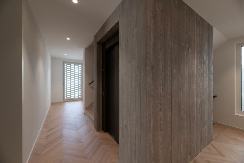 Exklusiver Neubau bezugsbereit - Exclusive new-build ready to move into (7)