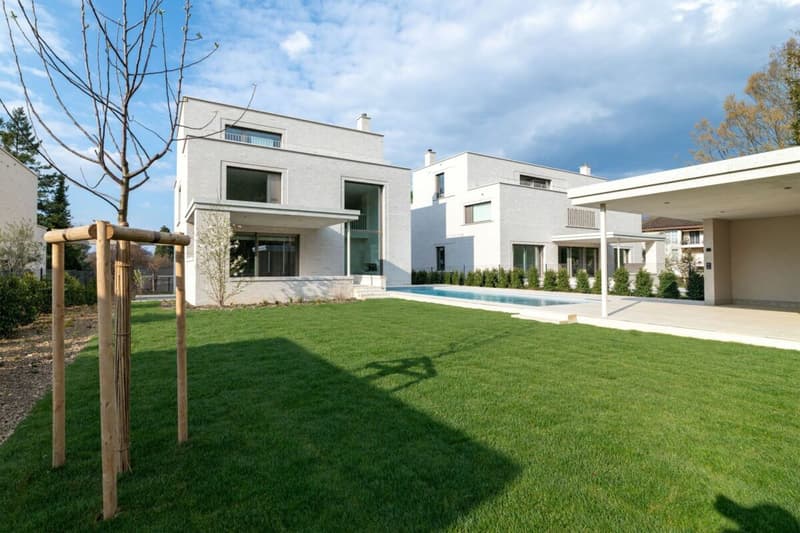 Exklusiver Neubau bezugsbereit - Exclusive new-build ready to move into (4)