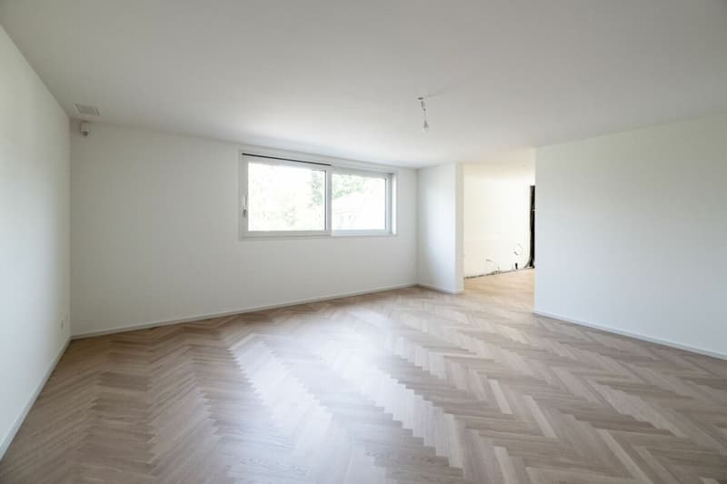 Exklusiver Neubau bezugsbereit - Exclusive new-build ready to move into (28)